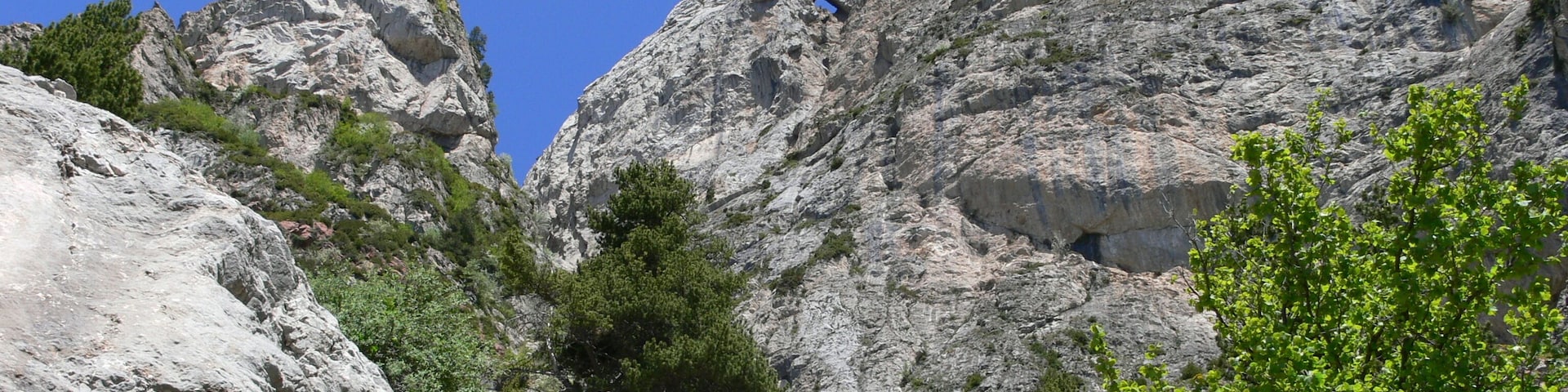 Mirant Les Penyes Altes (juny 2006)