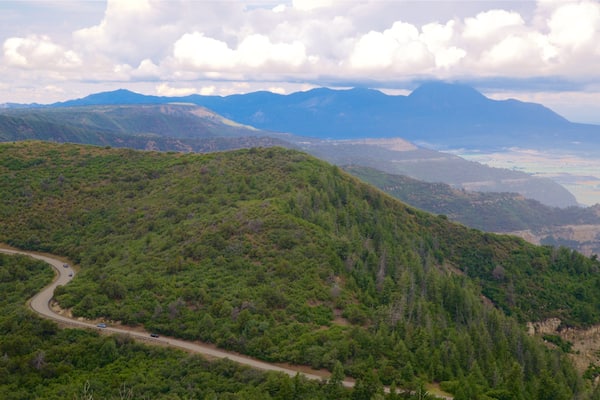 Park Point showing tranquil scenes and landscape views