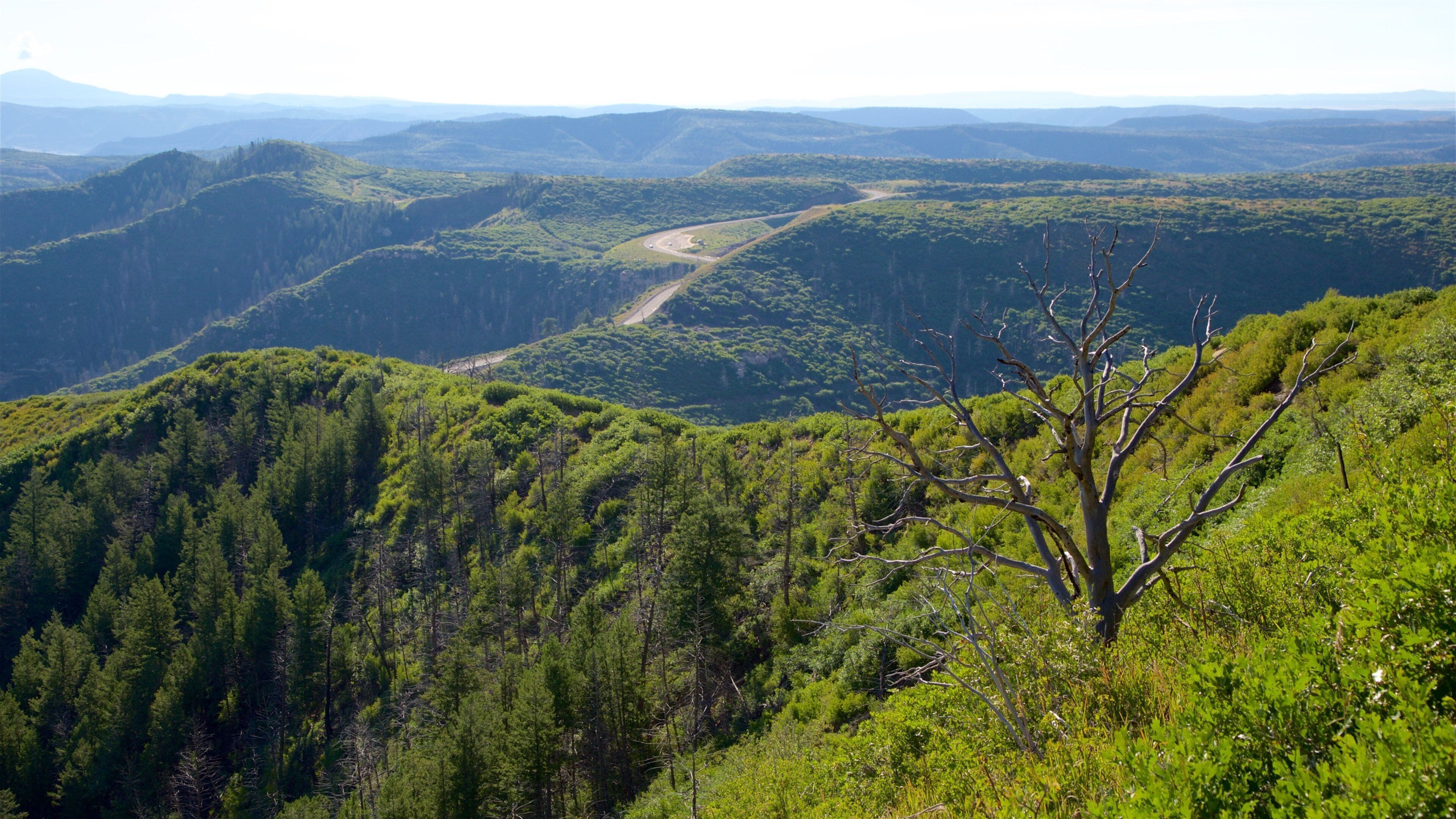 A mountainous landscape with dense forests and a winding road.