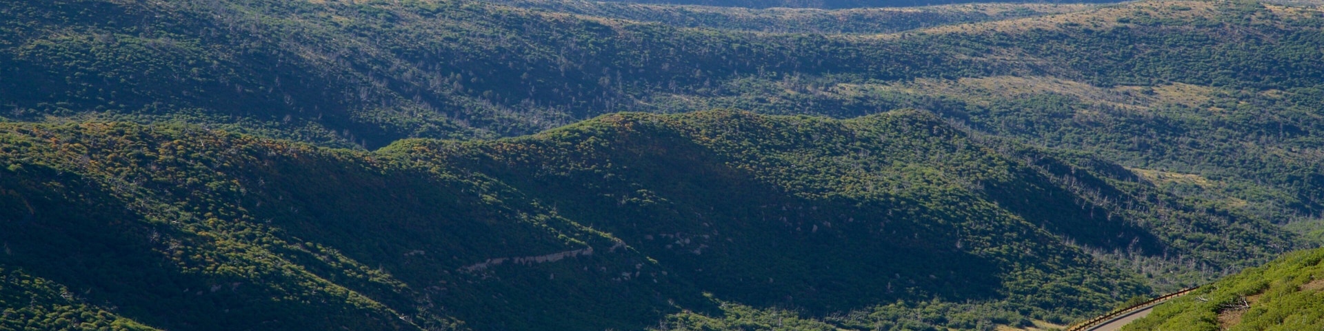 Park Point featuring tranquil scenes and landscape views