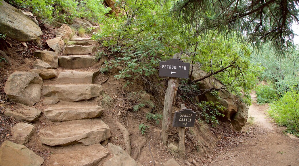 Petroglyph Point Trail inclusief bewegwijzering en vredige uitzichten