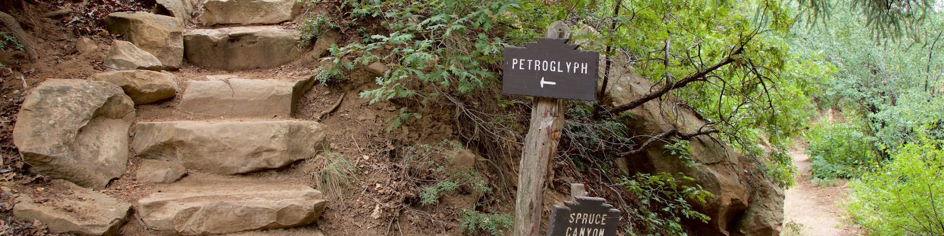 Petroglyph Point Trail featuring signage and tranquil scenes