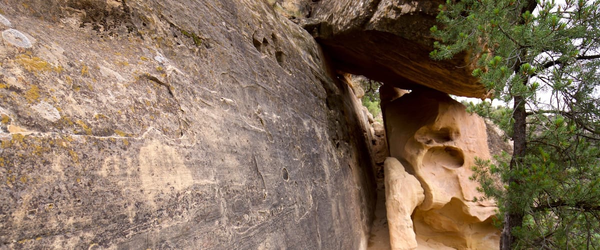 Petroglyph Point Trail showing tranquil scenes