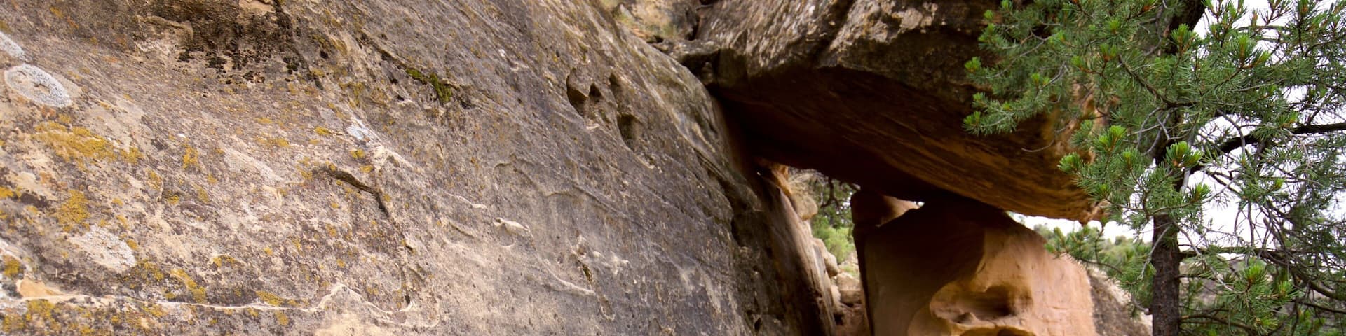 Petroglyph Point Trail showing tranquil scenes