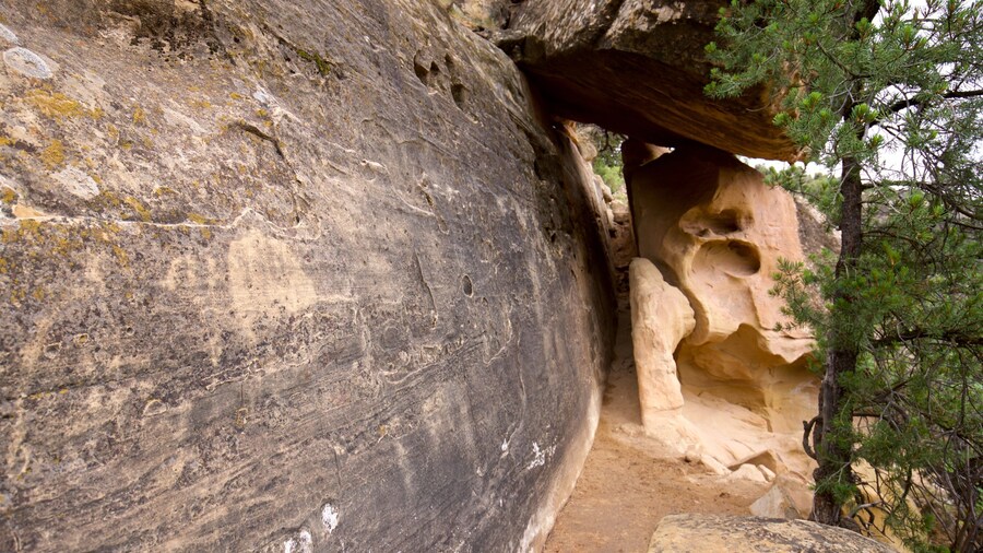 Petroglyph Point Trail featuring tranquil scenes