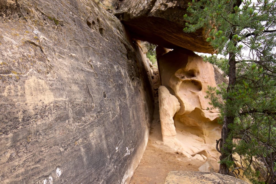 Une grande formation rocheuse avec une entrée de grotte et un arbre qui pousse à proximité.
