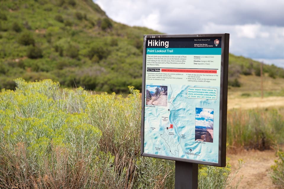 A hiking sign with a map and information about the Point Lookout Trail.