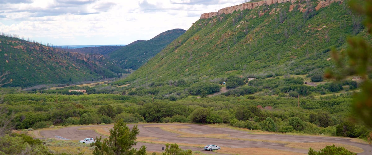 Point Lookout Trail which includes tranquil scenes and landscape views