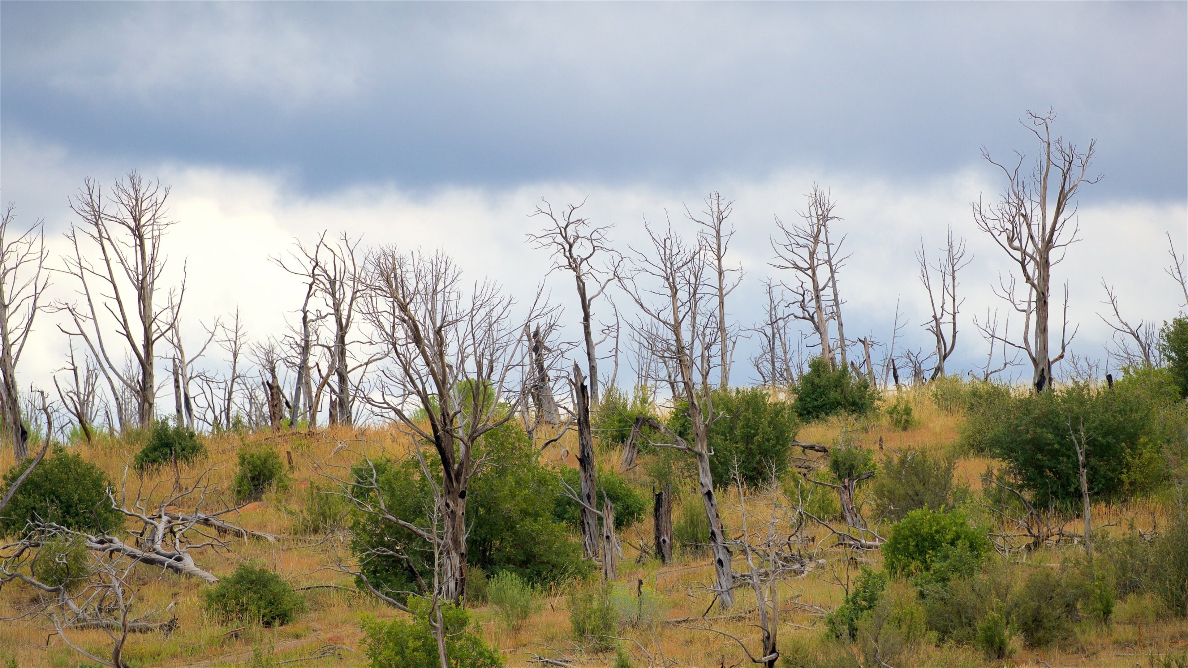 階梯大宅步行徑 设有 寧靜風景