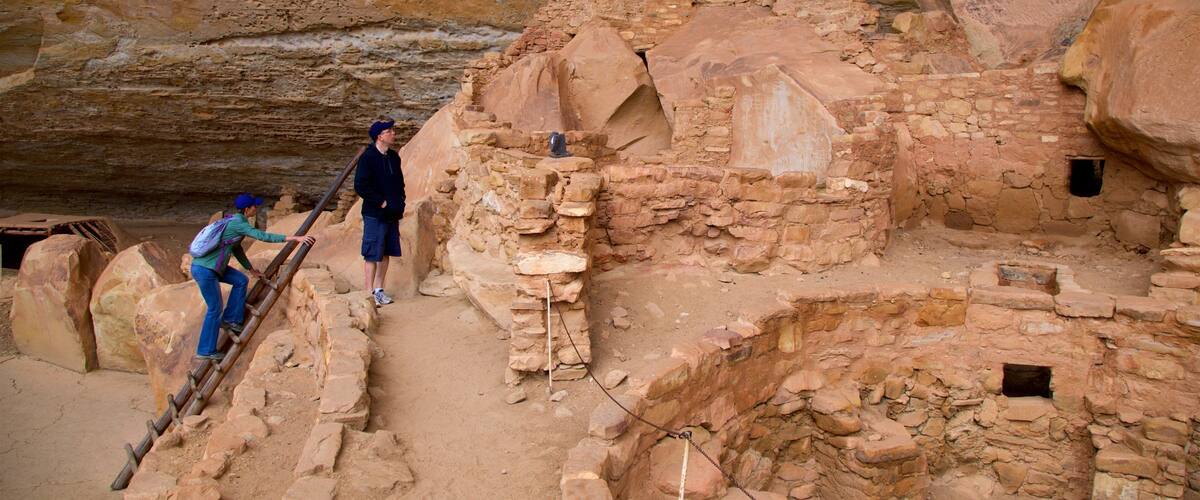 ์คํ
ํ์ฐ์ค ํธ๋ ์ผ ์ด ํฌํจ ๋ฌธํ์ ์ฐ ์์ ๊ณผ ์ ์ ์ง ๋ฟ๋ง ์๋๋ผ ์ปคํ