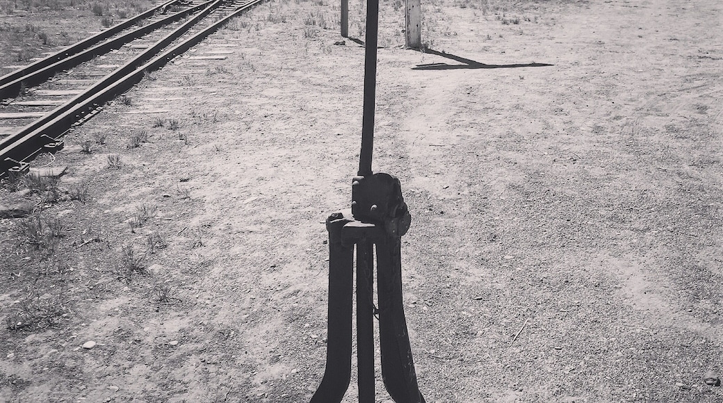 Fun side trip 5 minutes outside Bishop Ca.
#bishopcalifornia #inyocounty