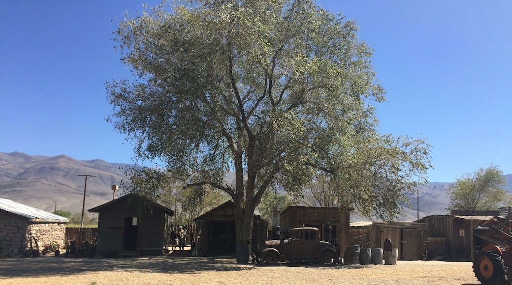 Laws railroad museum. They got all kinds of stuff set up to see how things were back in the day