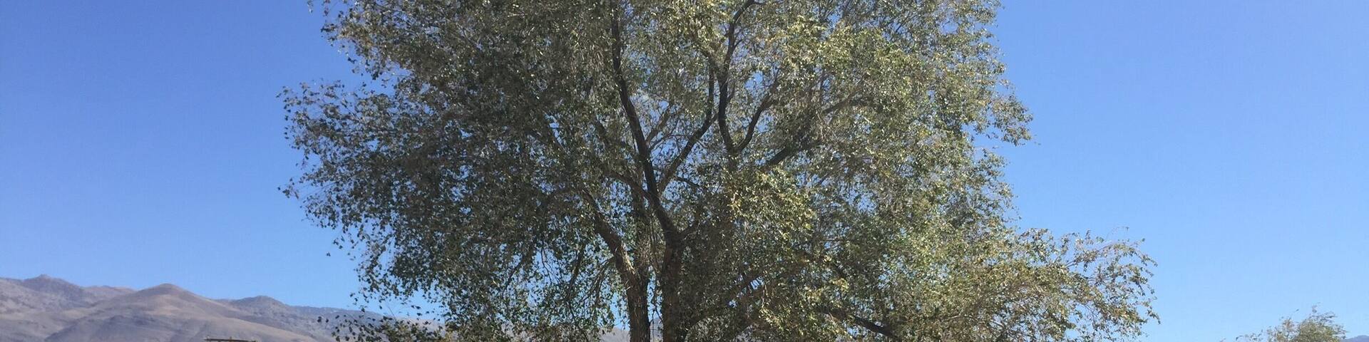 Laws railroad museum. They got all kinds of stuff set up to see how things were back in the day