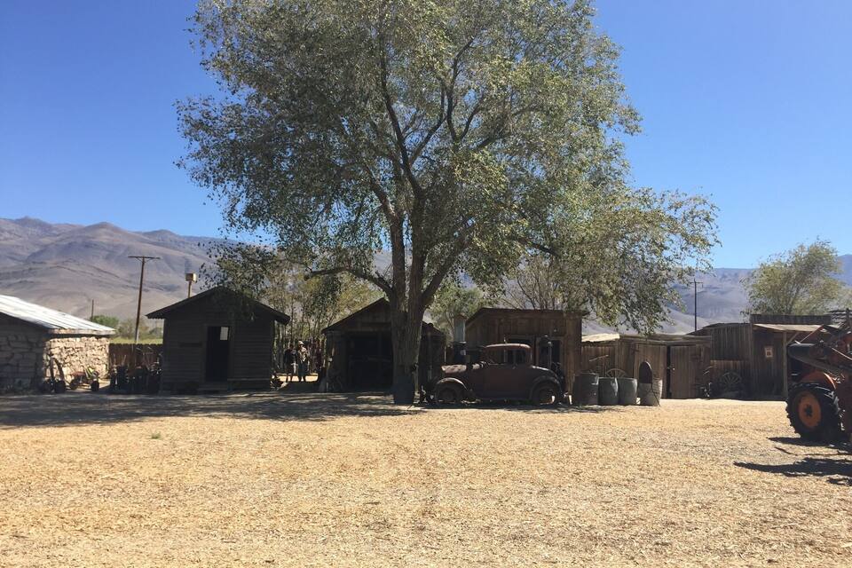 A rustic wooden building with a large tree in front, surrounded by mountains.