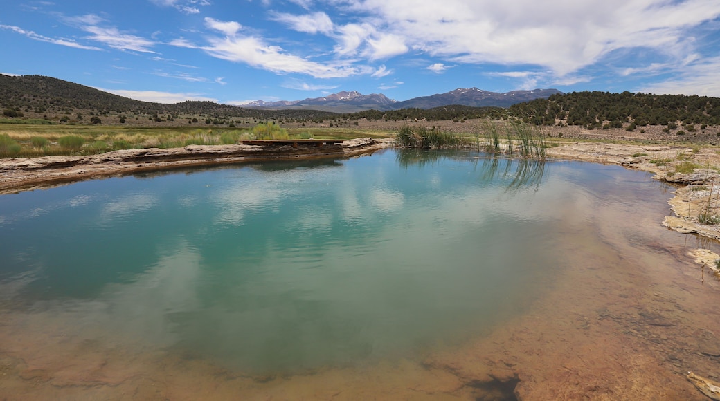 Buckeye varme kilder