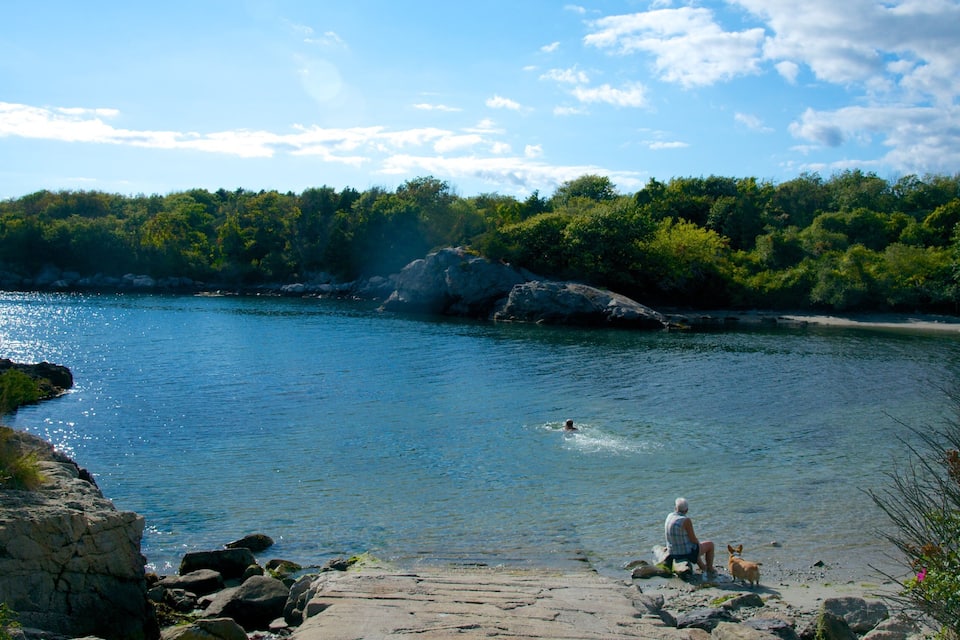 A river with a rocky shore, a person and a dog near the water's edge, and a forested area in the background.