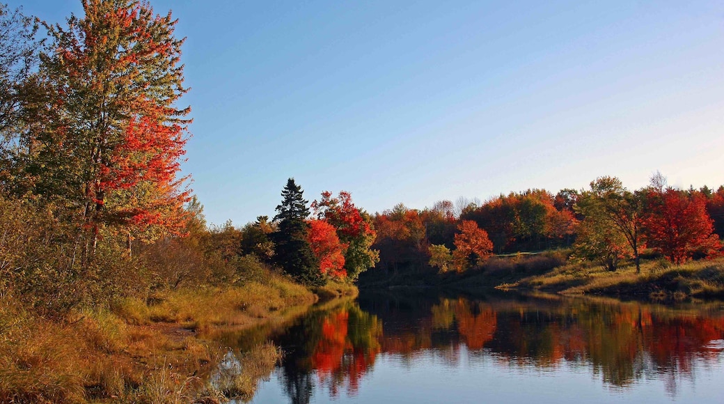 Fall colours along the Shubenacadie River just outside of Elmsdale, Nova Scotia.