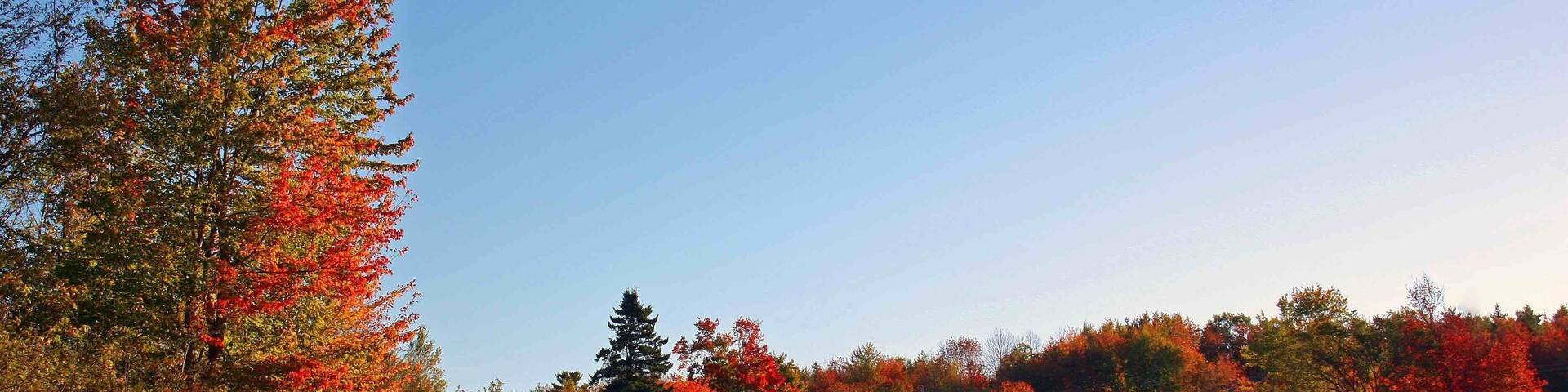 Fall colours along the Shubenacadie River just outside of Elmsdale, Nova Scotia.