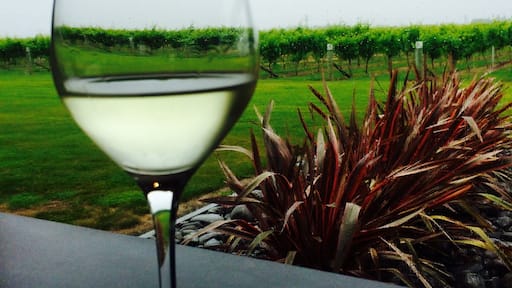 Spy valley Sauvignon blanc. Bring a picnic here & settle in with gorgeous vineyard views
