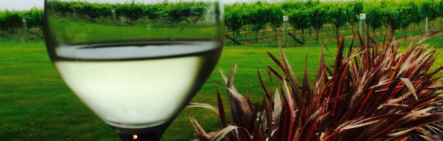 Spy valley Sauvignon blanc. Bring a picnic here & settle in with gorgeous vineyard views
