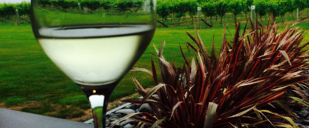 A wine glass with a vineyard in the background.