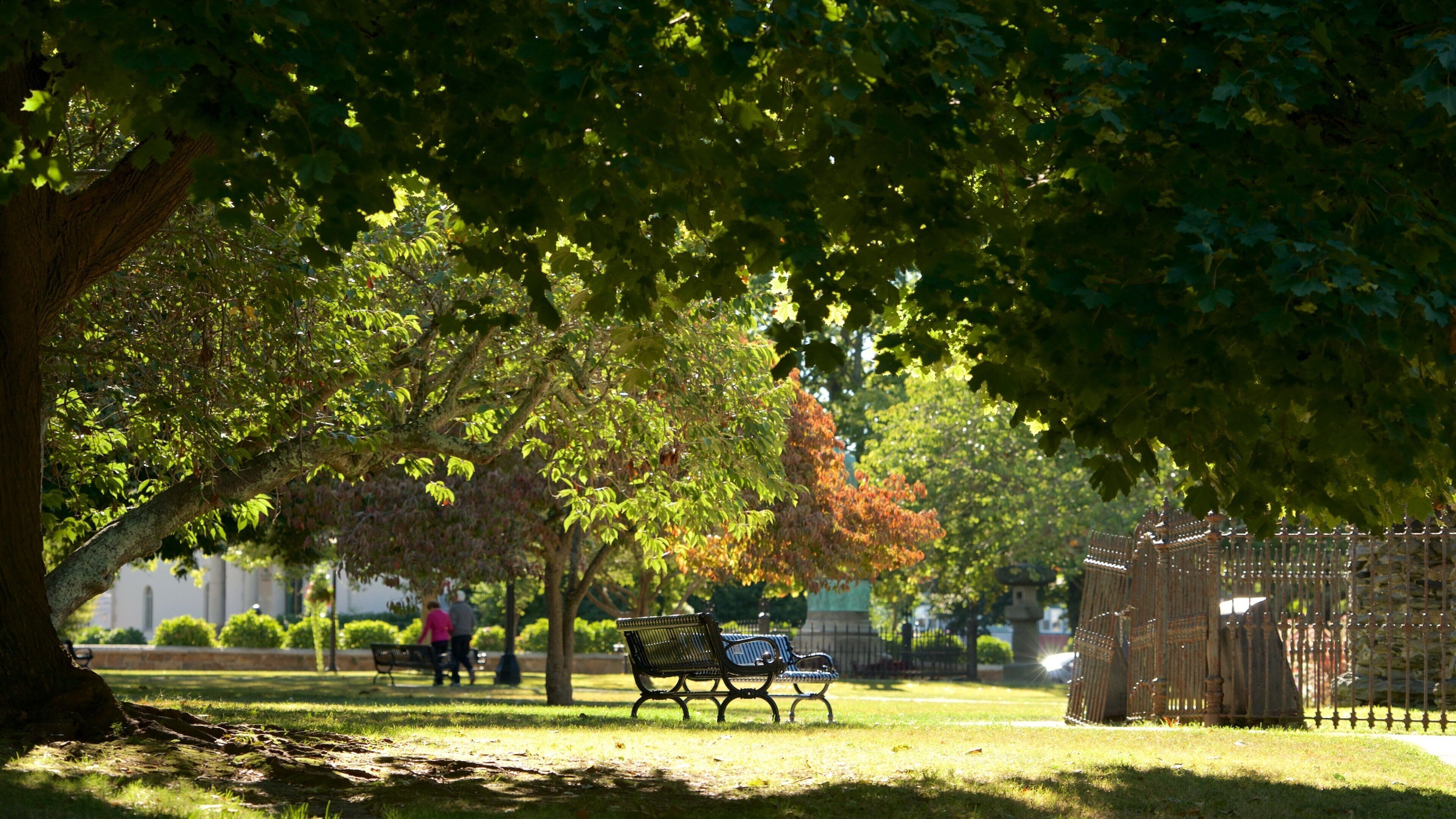 Touro Park featuring a garden