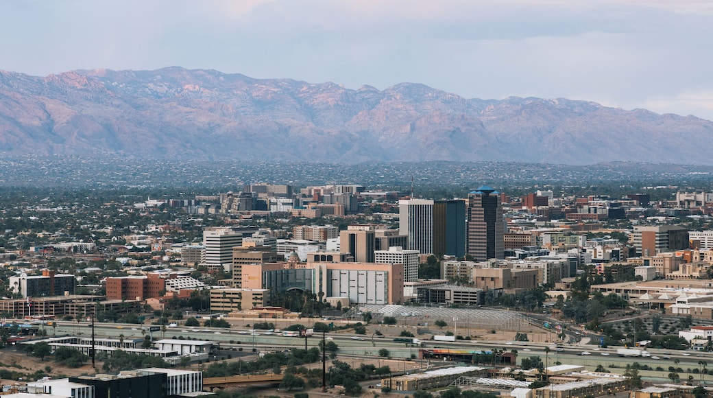 A cityscape with a prominent skyscraper, surrounded by mountains and a dense urban area.