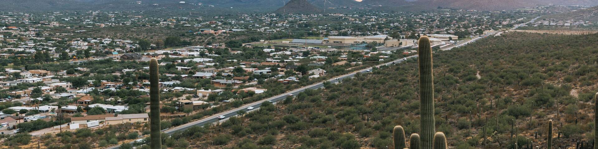 A desert landscape with a prominent cactus in the foreground, a road running through a town, and mountains in the background.