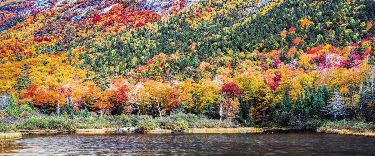 Willey Pond and Mt Jackson