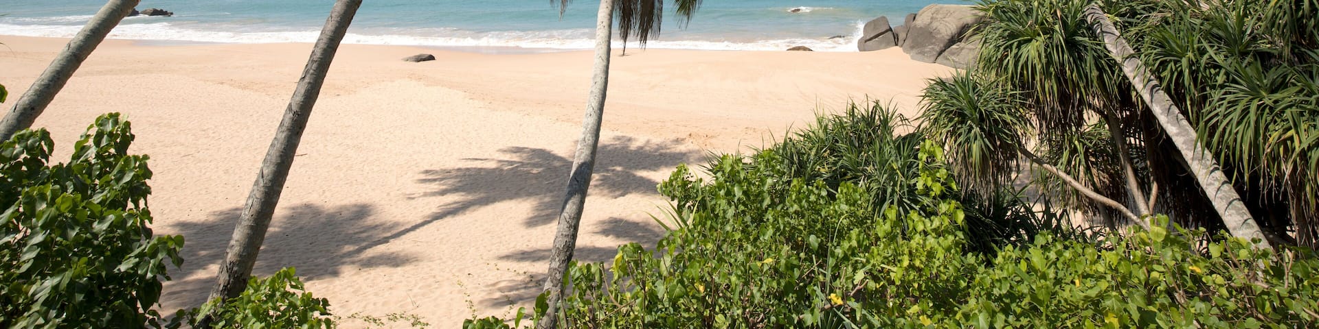 Looking through the palm trees (Arecaceae) at the sandy beach on the Indian Ocean shore of Kumu Beach; Balapitiya, Galle District, Sri Lanka
