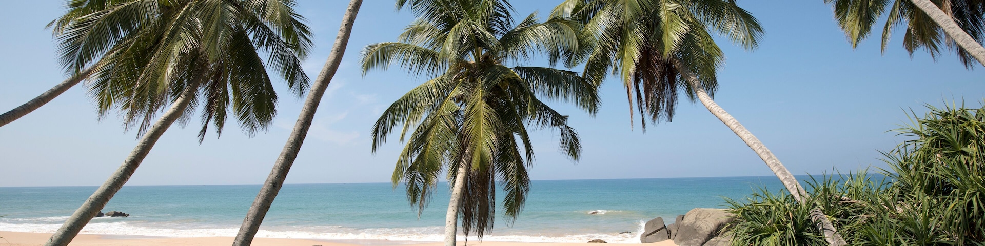 Looking through the palm trees (Arecaceae) at the sandy beach on the Indian Ocean shore of Kumu Beach; Balapitiya, Galle District, Sri Lanka