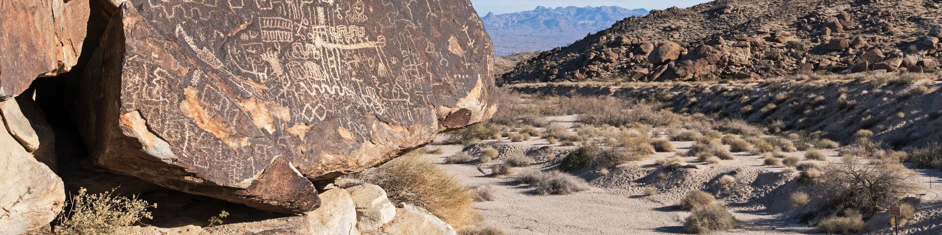 Grapevine Canyon Petroglyphs