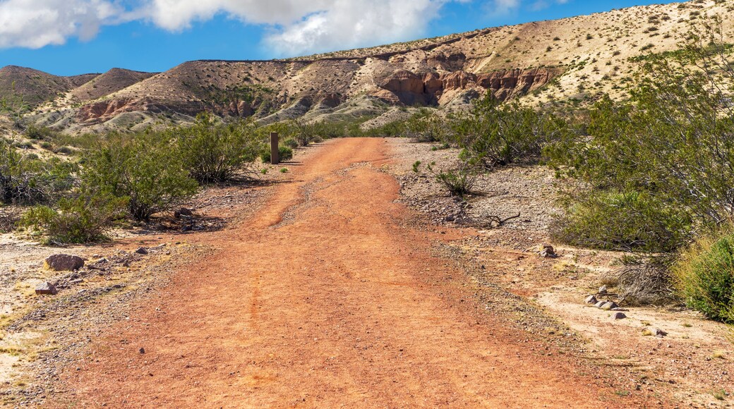 Parque y senderos Colorado River Heritage Greenway Park and Trails