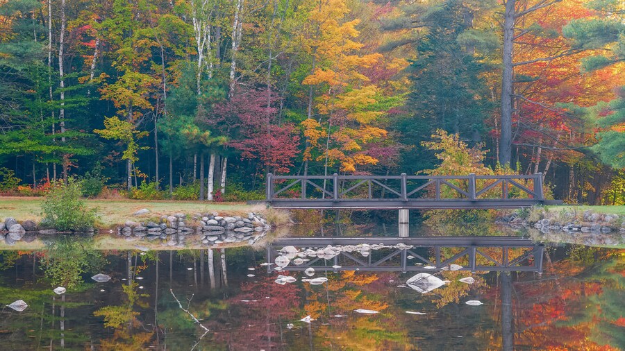 Parc Estatal de Moose Brook