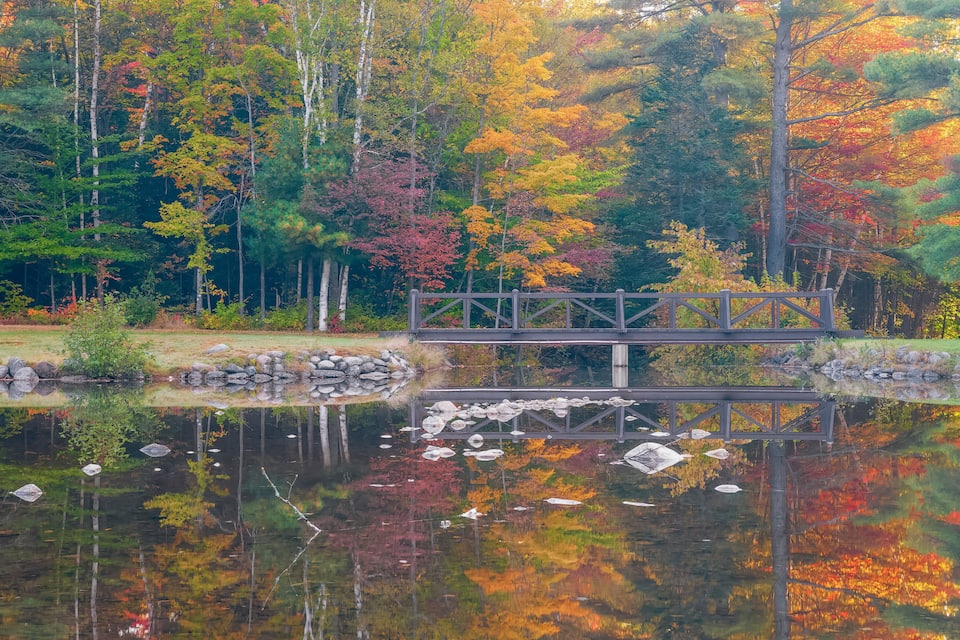 A wooden bridge over a calm pond surrounded by autumn-colored trees.