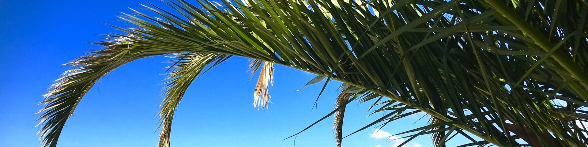 ☀️ at Seget Donji