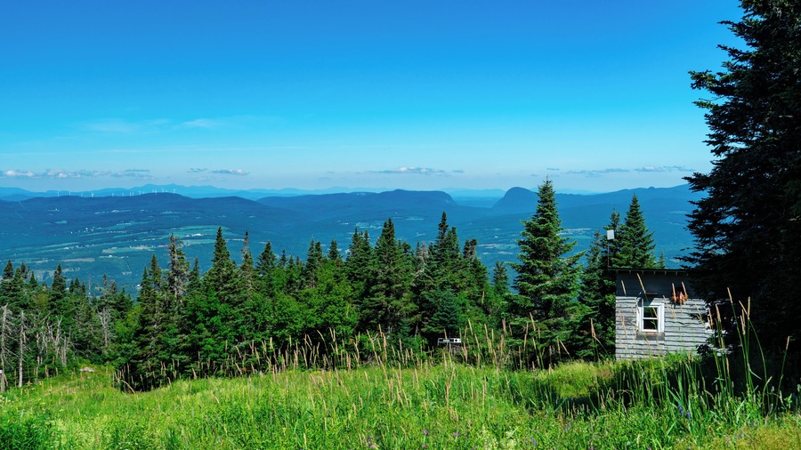 Un paysage montagneux avec une petite cabane, une forêt de conifères dense et des éoliennes visibles au loin.