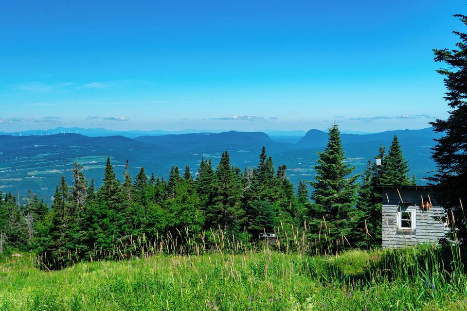 A mountainous landscape with a small cabin, dense coniferous forest, and distant wind turbines.