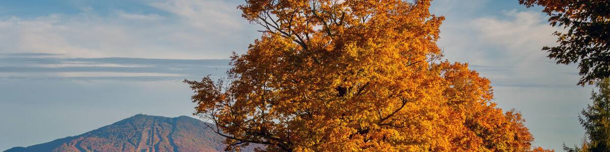 New England Dirt Road in Autumn With Colorful Fall Foliage and a Ski Mountain in Background - East Burke, Vermont