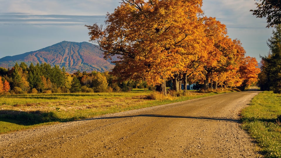 New England Dirt Road in Autumn With Colorful Fall Foliage and a Ski Mountain in Background - East Burke, Vermont
