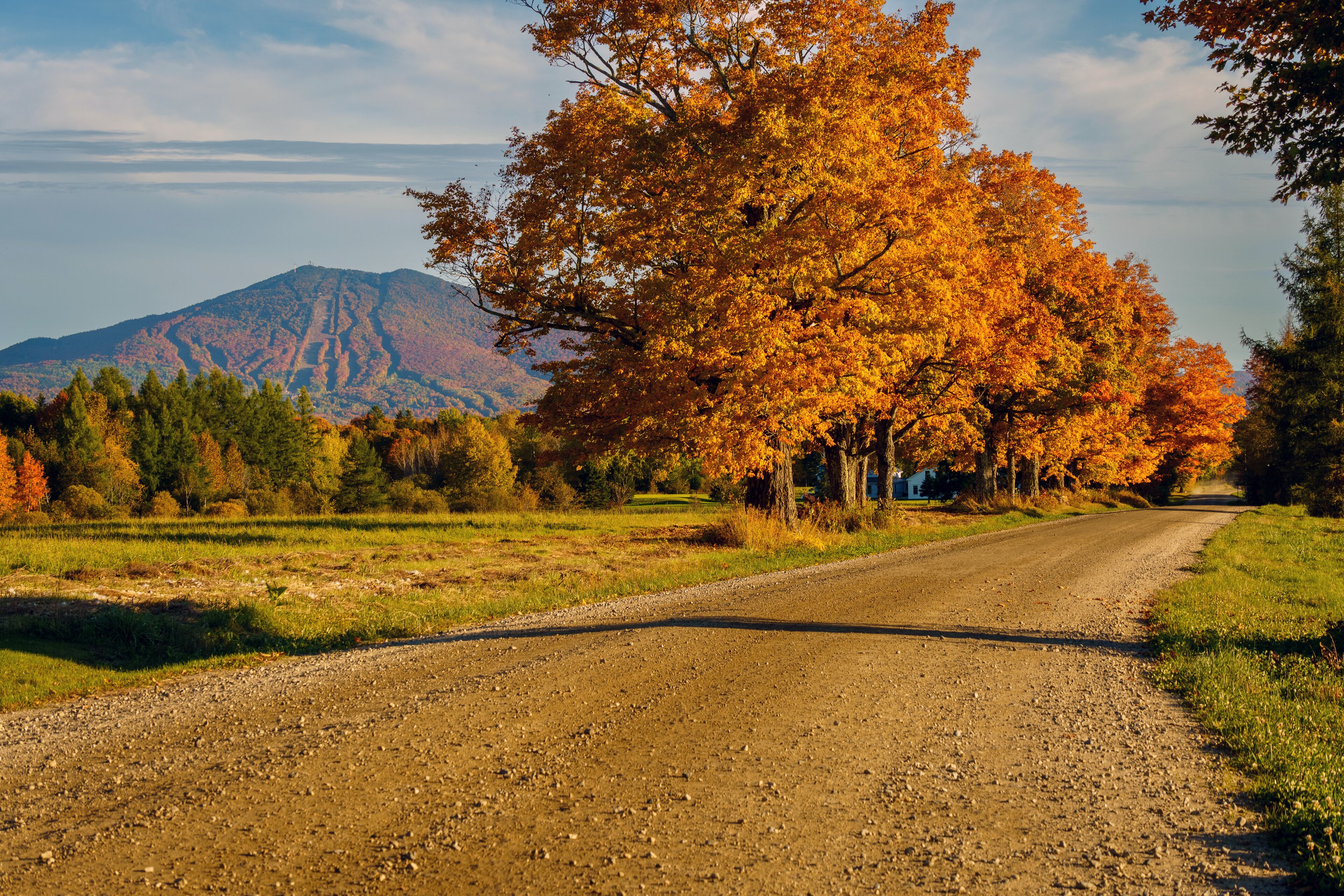 A gravel road with autumn foliage and a mountain in the background.