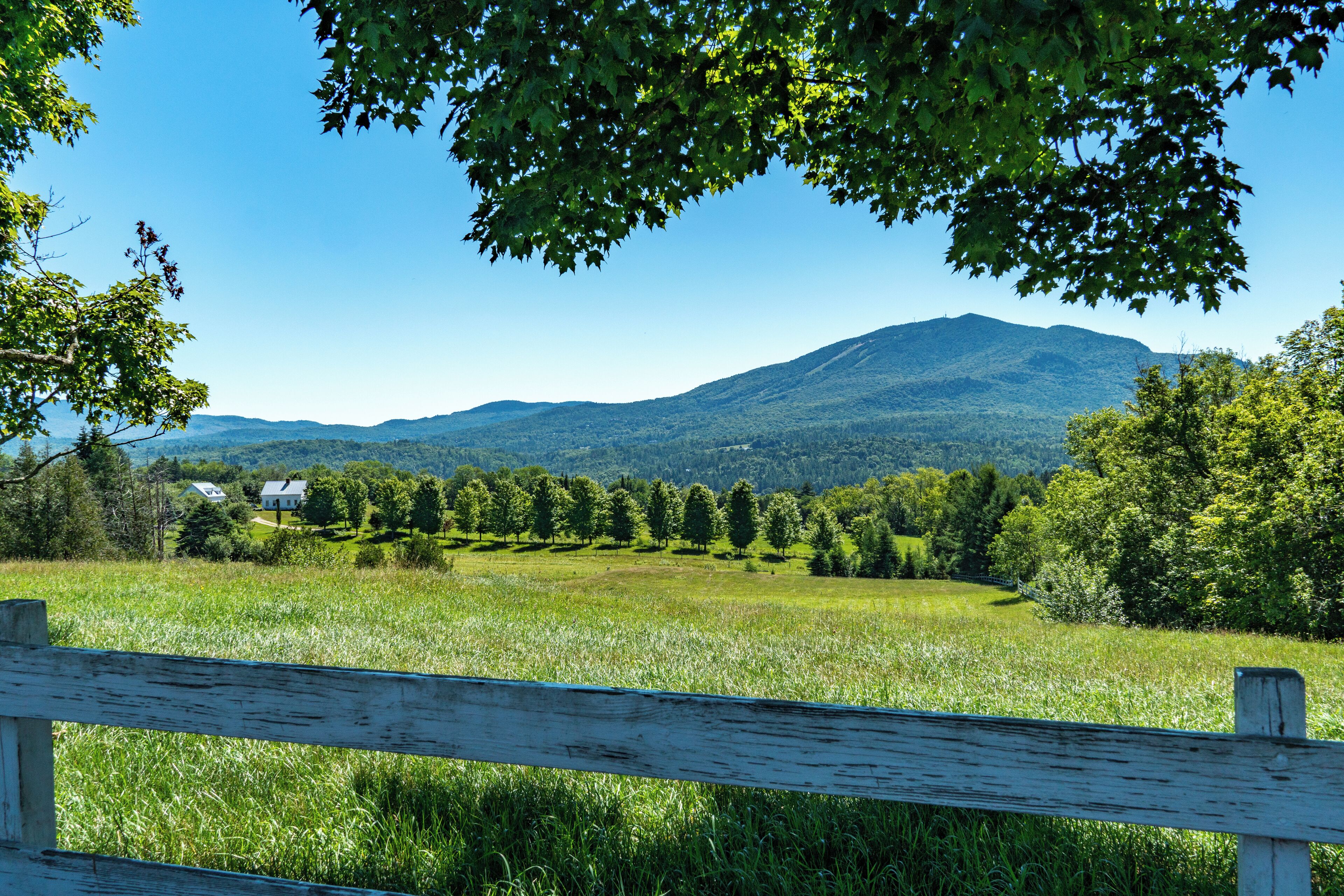 Standing on the top of Darling Hill looking back at Burke Mountain