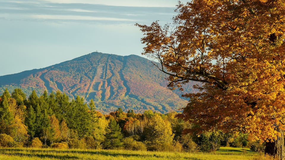 Looking Toward Burke Mountain During New England's Fall Foliage Season - East Burke, Vermont