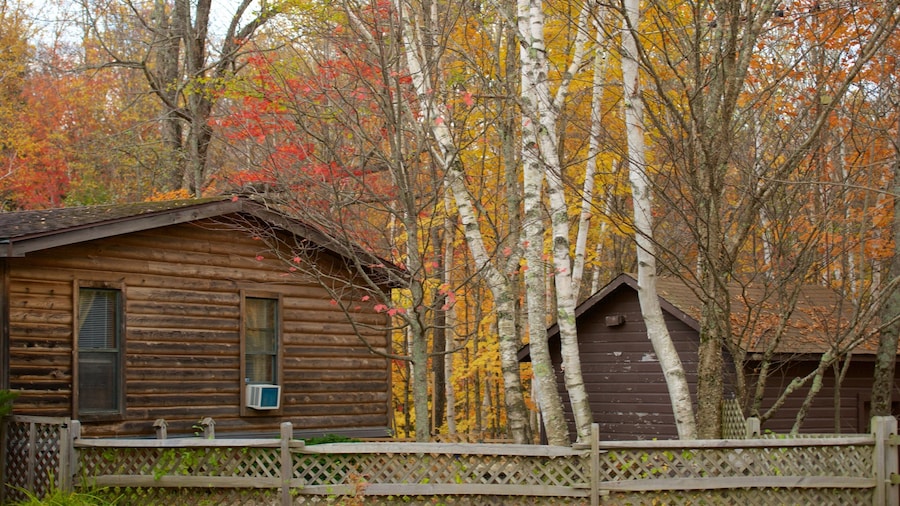 Lost River Gorge and Boulder Caves showing forest scenes, fall colors and a house