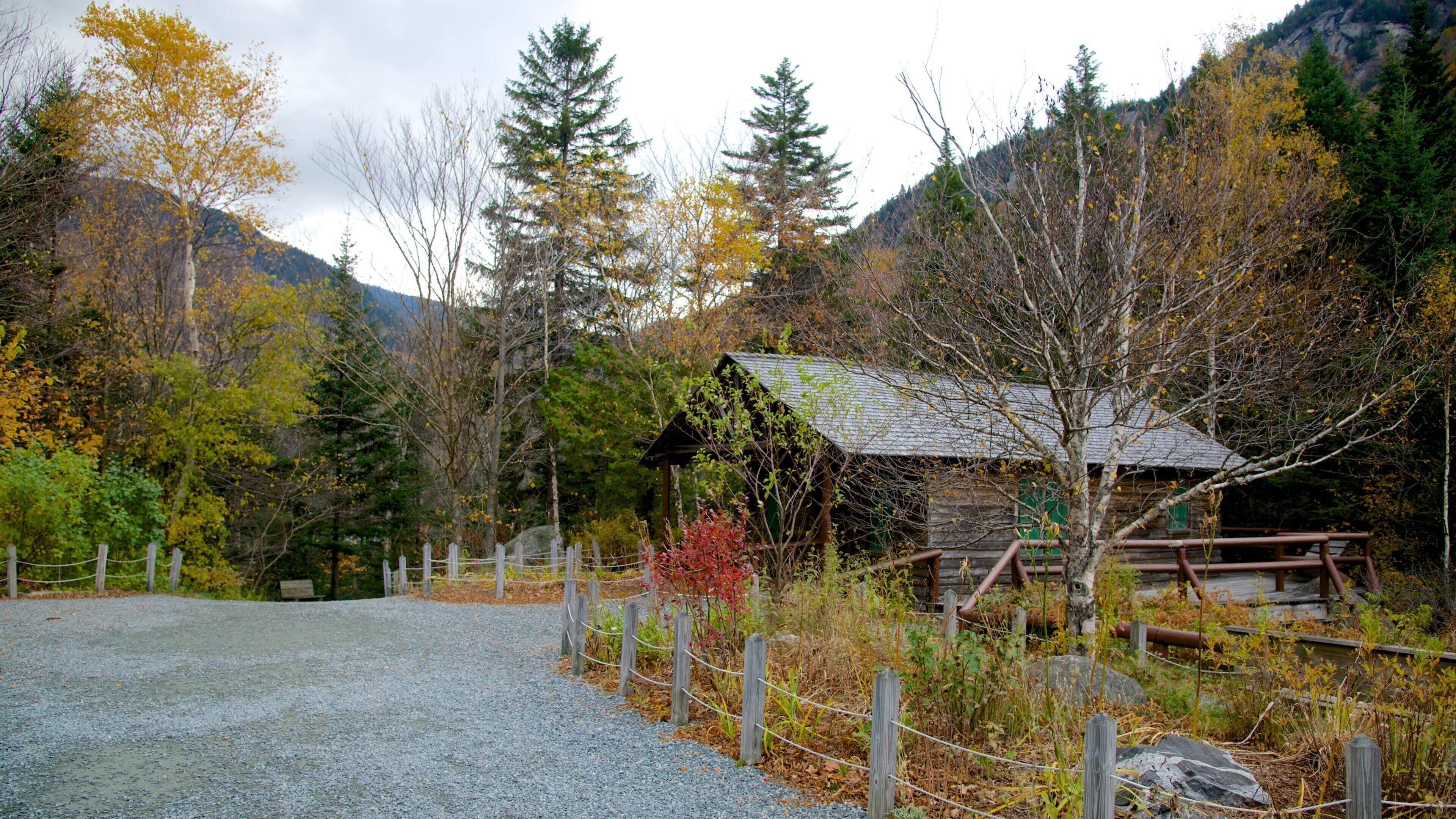 ロスト リバー渓谷 & ボルダー洞窟 表示 森林 と 家屋