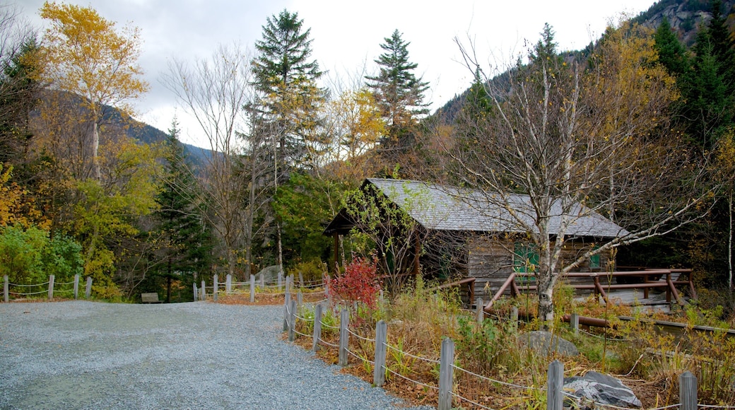 Lost River Gorge and Boulder Caves showing forest scenes and a house