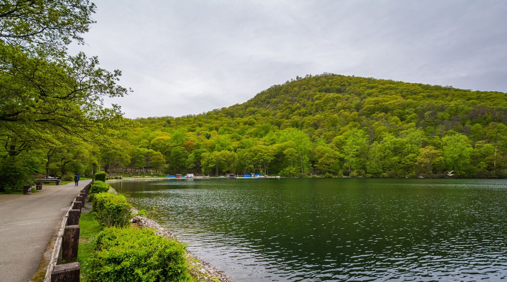 Wellington delstatspark