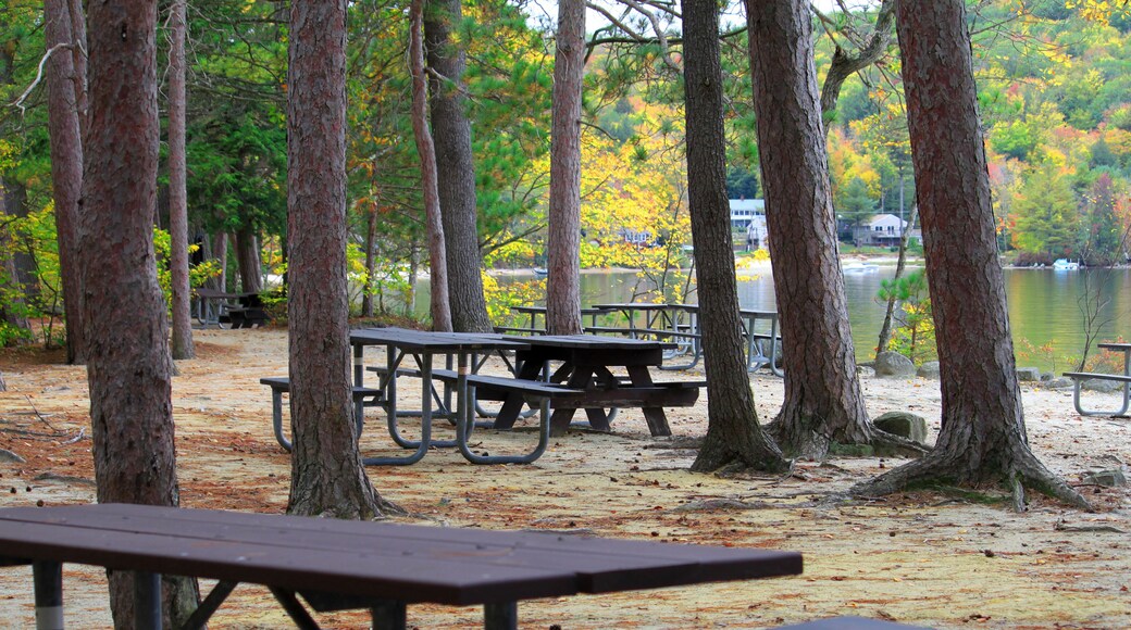 Wellington delstatspark