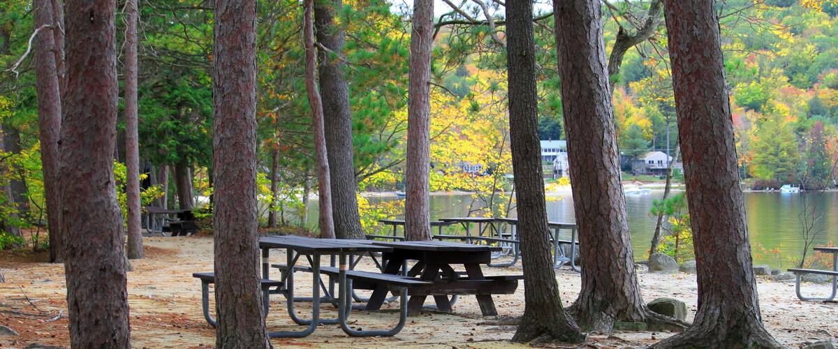 Wellington State Park