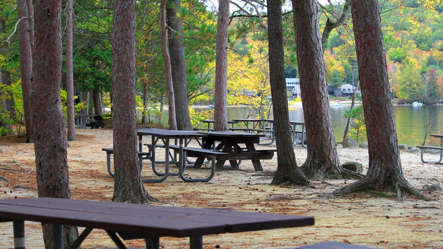 Parque estatal Wellington